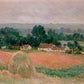 CORX Designs - Claude Monet Poppy fields Landscape Oil Painting Canvas Art - Review