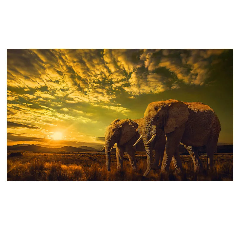 CORX Designs - African Savannah Sunset Two Elephants Wall Art Canvas - Review