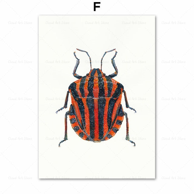 CORX Designs - Beetle Insect Bee Nursery Room Canvas Art - Review