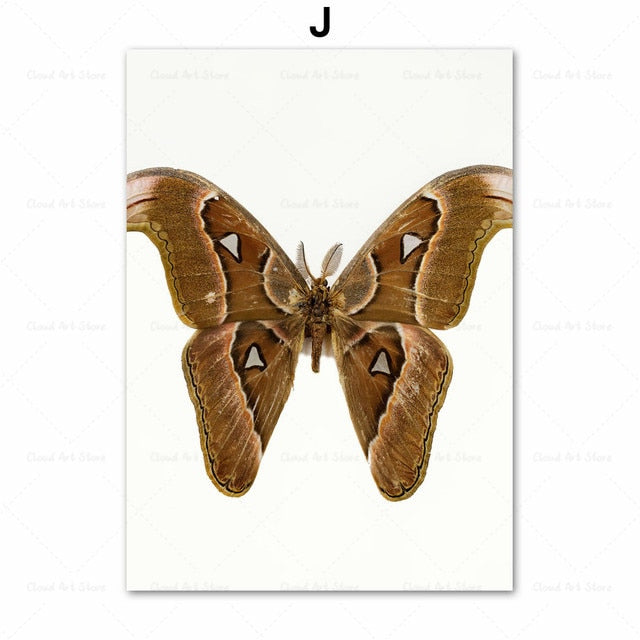 CORX Designs - Beetle Insect Bee Nursery Room Canvas Art - Review