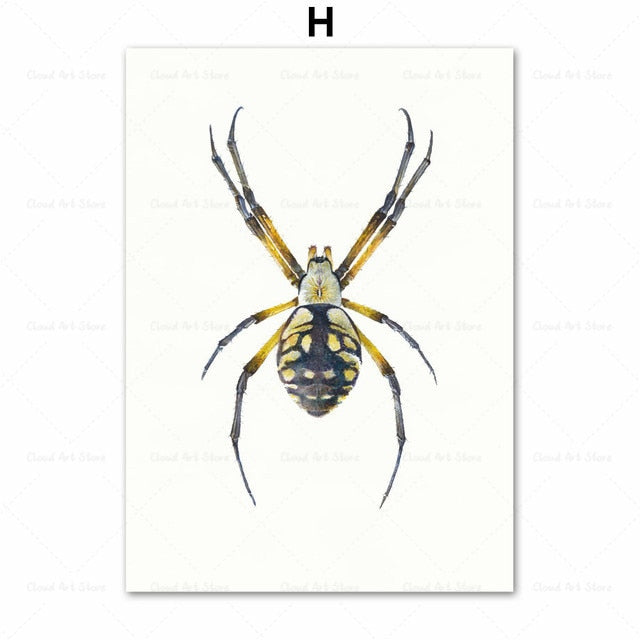 CORX Designs - Beetle Insect Bee Nursery Room Canvas Art - Review