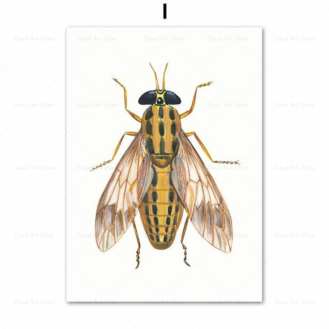 CORX Designs - Beetle Insect Bee Nursery Room Canvas Art - Review