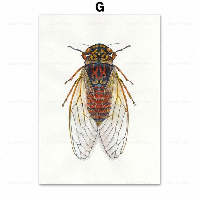 CORX Designs - Beetle Insect Bee Nursery Room Canvas Art - Review