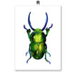 CORX Designs - Insect Beetle Collection Watercolor Wall Art Canvas - Review