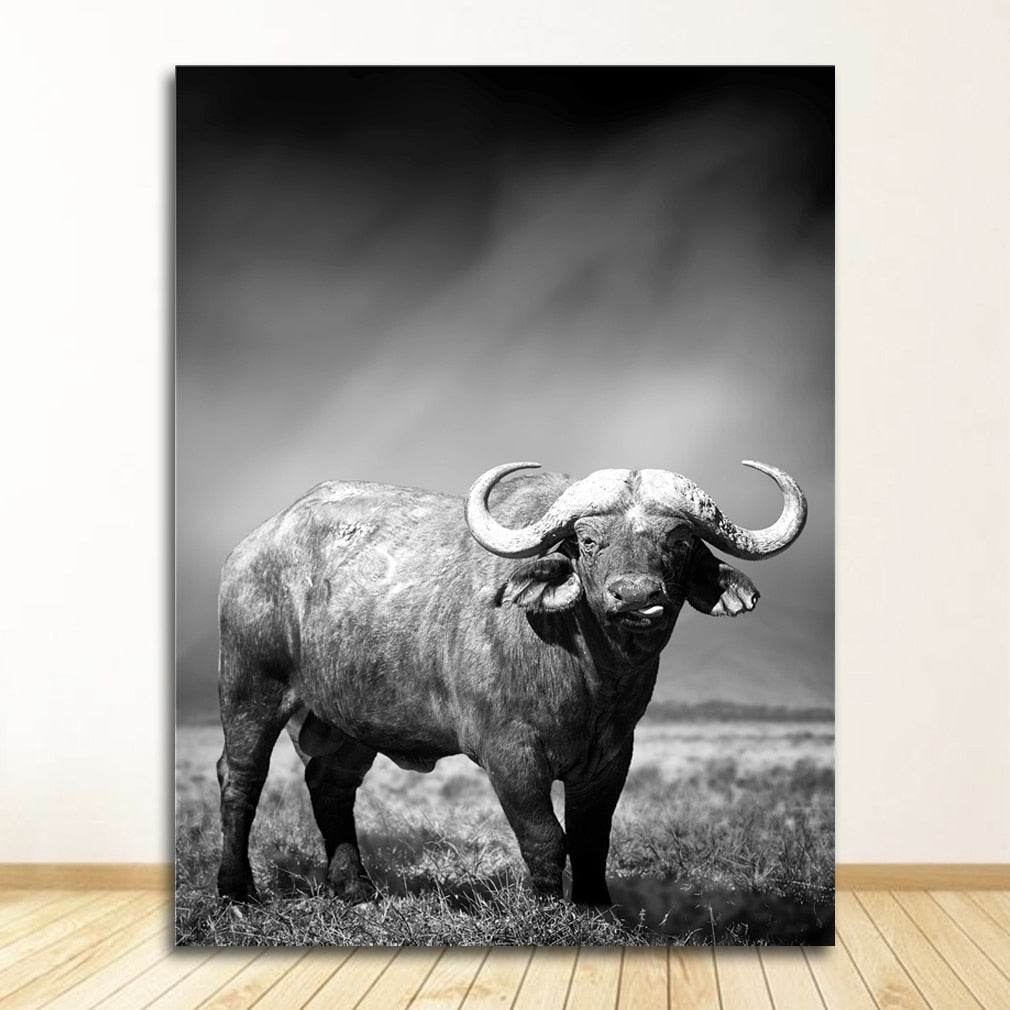 CORX Designs - Black and White Animal Wall Art Canvas - Review