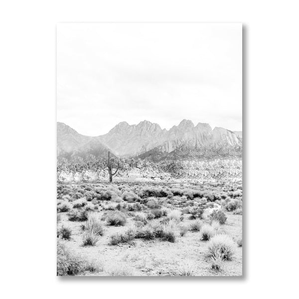 CORX Designs - Black And White Cactus Desert Canvas Art - Review