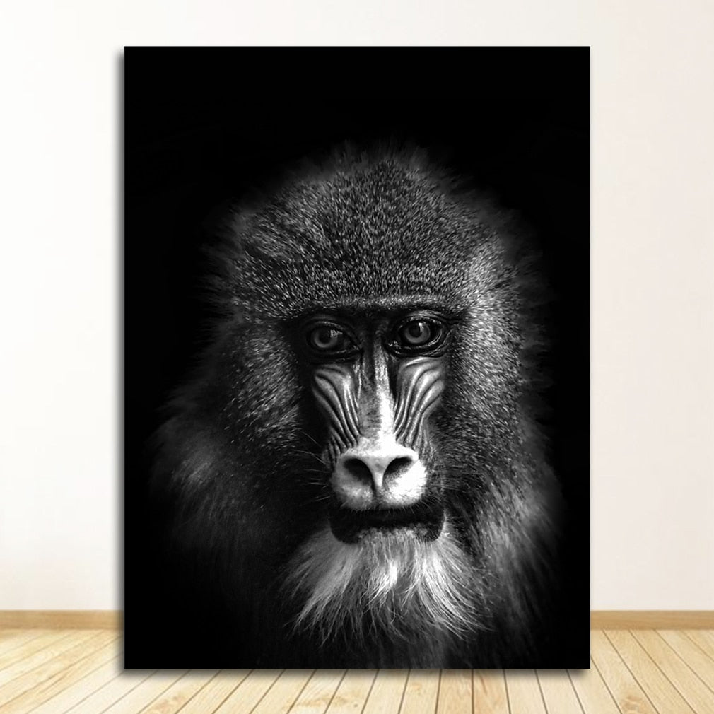 CORX Designs - Black and White Animal Wall Art Canvas - Review