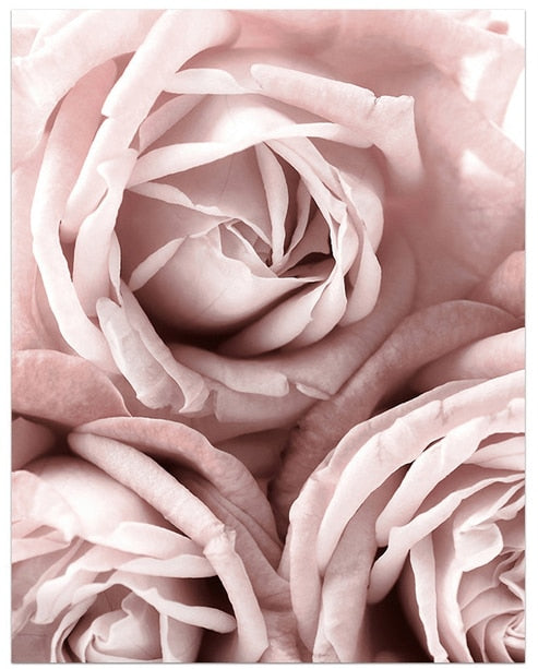 CORX Designs - Blooming Pink Flower Canvas Art - Review