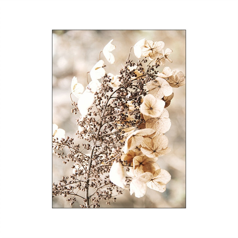 CORX Designs - Autumn Sunlight Landscape Canvas Art - Review