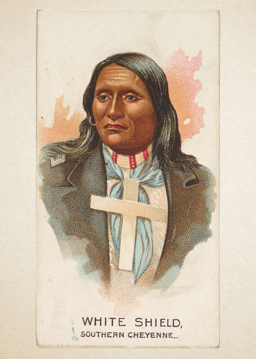CORX Designs - Indigenous Native American Chief Canvas Art - Review