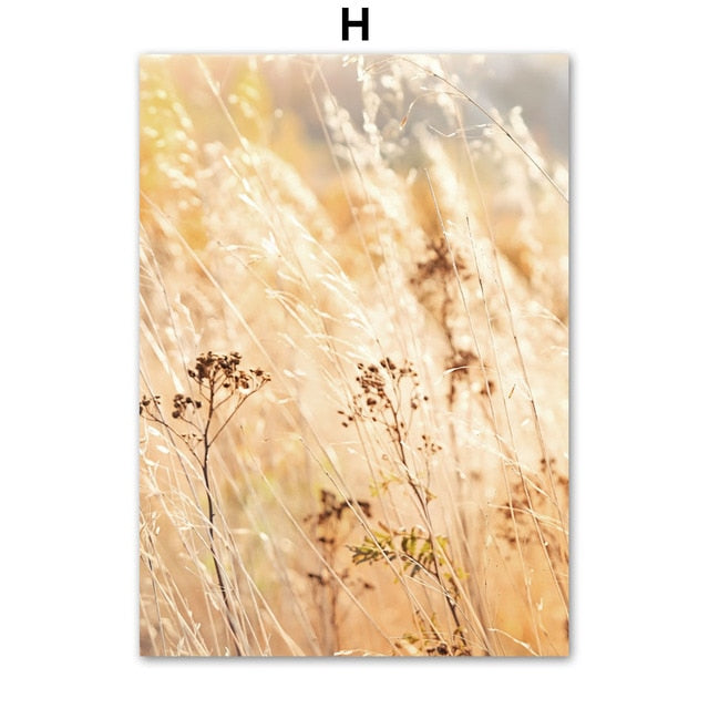 CORX Designs - Autumn Pumpkin Car Canvas Art - Review
