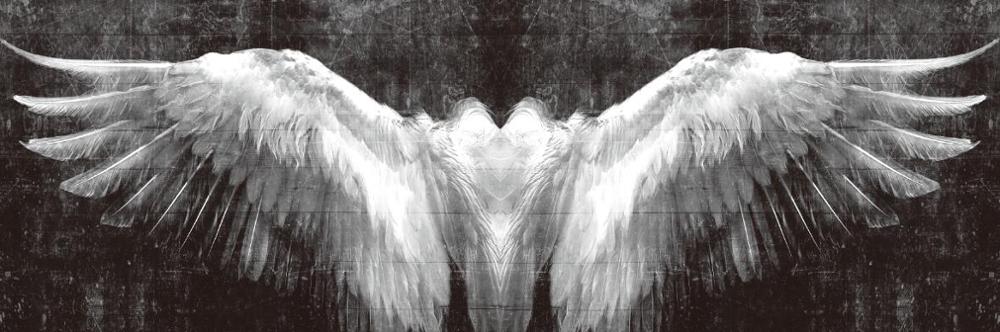 CORX Designs - Black And White Angel Wings Wall Art Canvas - Review