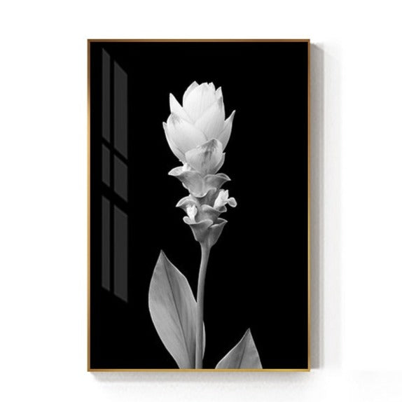 CORX Designs - Black And White Tulip Flower Canvas Art - Review