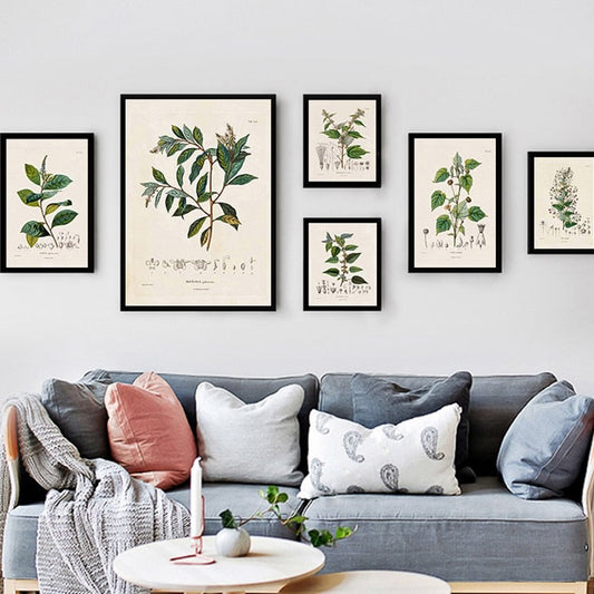 CORX Designs - Botanical Studies Wall Art Canvas - Review