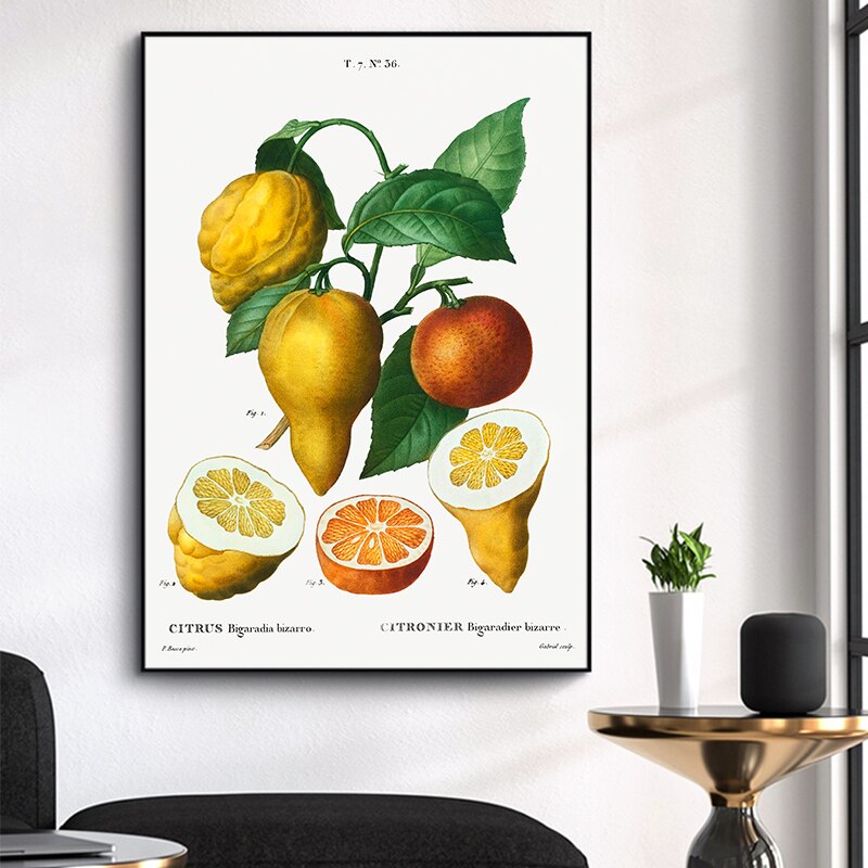 CORX Designs - Fruit Pomegranate Cherry Grape Pear Canvas Art - Review