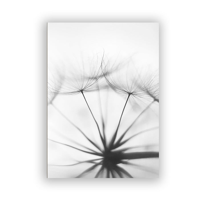 CORX Designs - Black And White Dandelion Canvas Art - Review