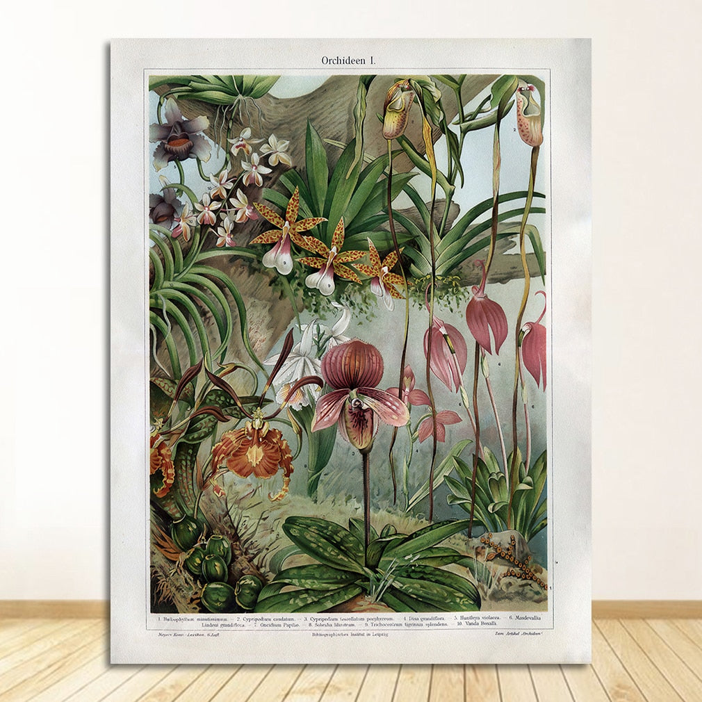 CORX Designs - Orchids Late 1800s Botanical Poster Wall Art Canvas - Review