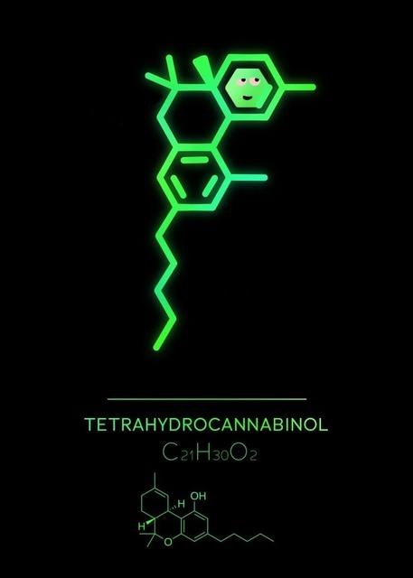CORX Designs - Chemistry Element Molecule Canvas Art - Review
