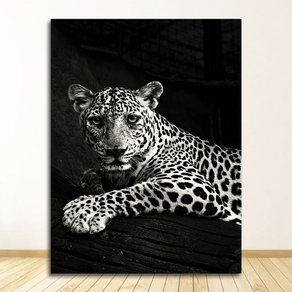 CORX Designs - Black and White Animal Wall Art Canvas - Review