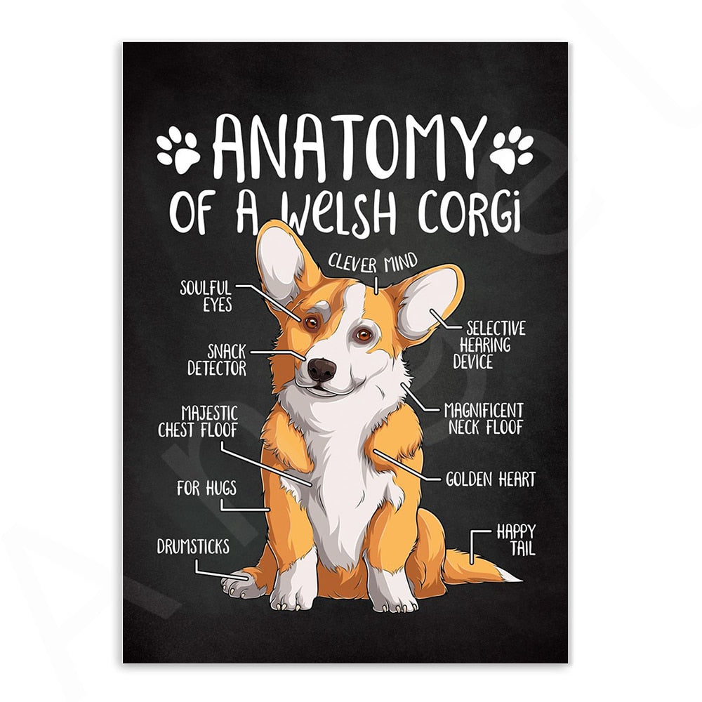 CORX Designs - Anatomy of Dogs Canvas Art - Review