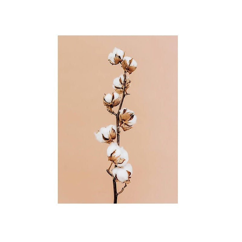 CORX Designs - Pink Peony Rose Flower Canvas Art - Review
