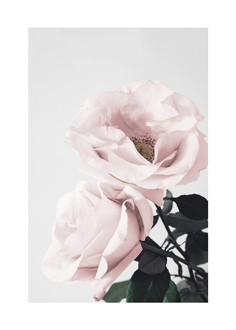 CORX Designs - Fresh Pink Flower Canvas Art - Review