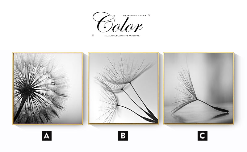 CORX Designs - Black and White Dandelion Flower Art - Review