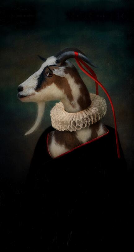 CORX Designs - Earl of the Goat Canvas Art - Review