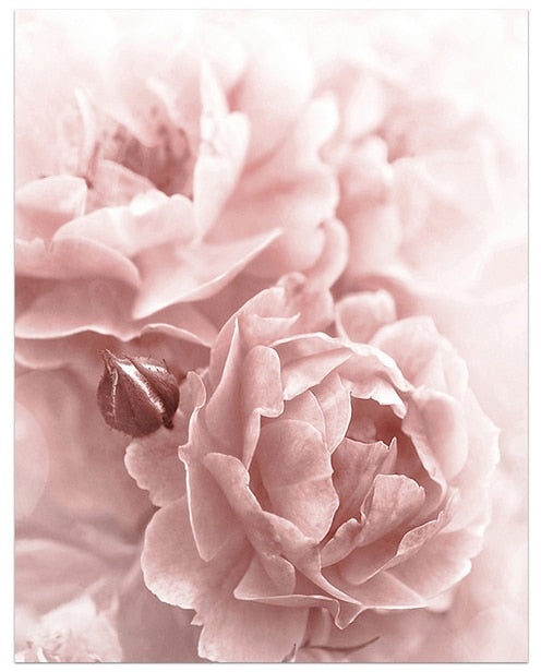 CORX Designs - Blooming Pink Flower Canvas Art - Review