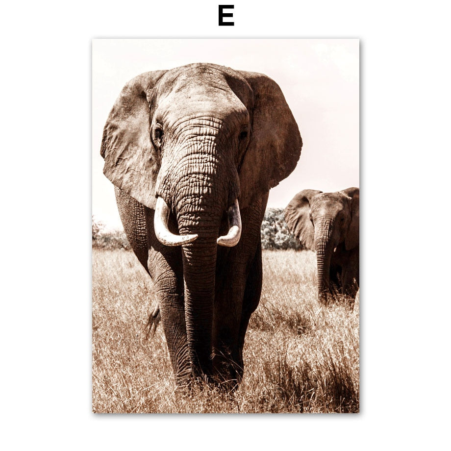CORX Designs - African Savanna Animals Canvas Art - Review