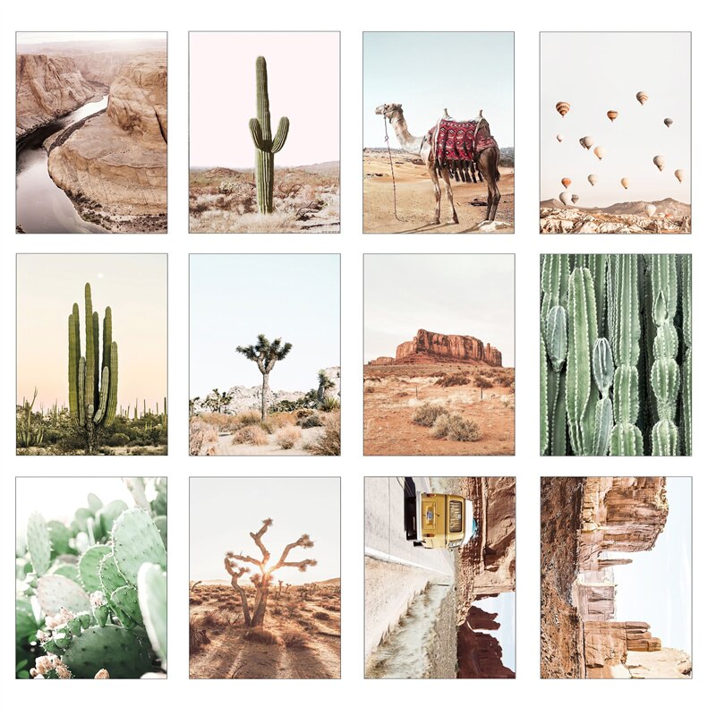 CORX Designs - Desert Landscape Cactus Canvas Art - Review