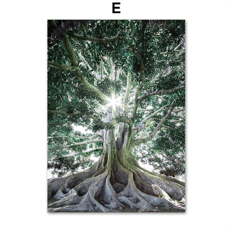 CORX Designs - Animal in Tropical Rainforest Canvas Art - Review