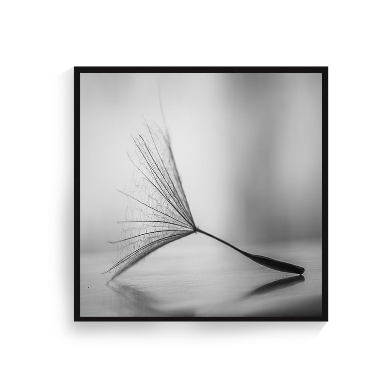 CORX Designs - Black and White Dandelion Flower Art - Review