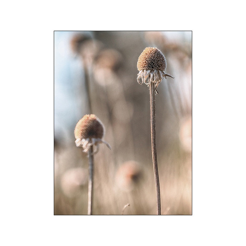 CORX Designs - Brown Landscape Dandelion Elk Canvas Art - Review