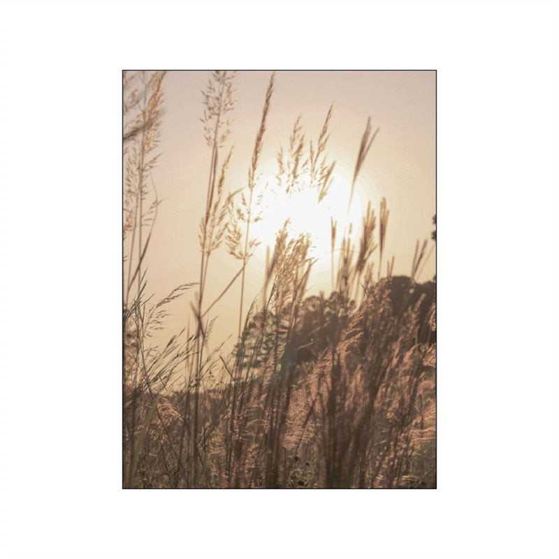 CORX Designs - Grassland Lion Dandelion Canvas Art - Review