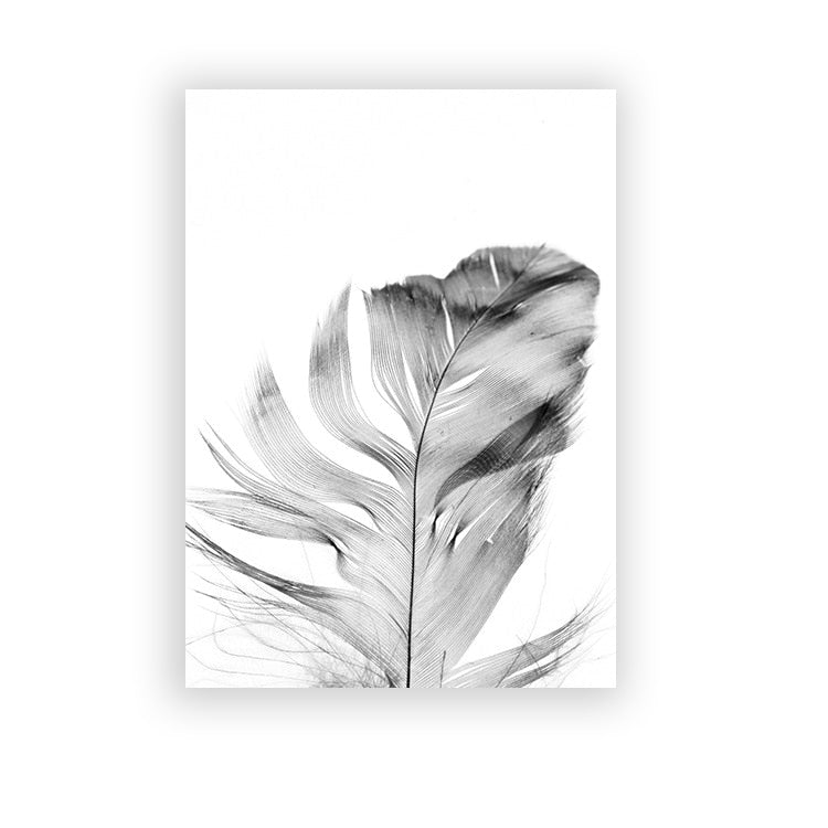 CORX Designs - Black And White Dandelion Canvas Art - Review