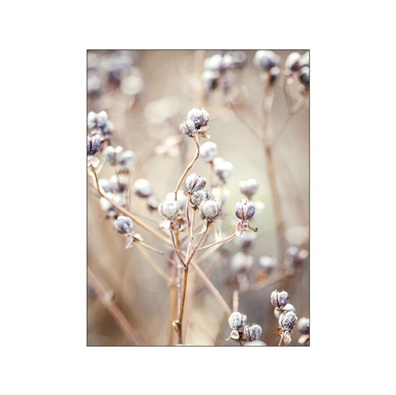 CORX Designs - Brown Landscape Dandelion Elk Canvas Art - Review