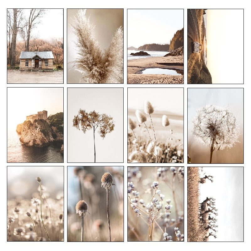 CORX Designs - Brown Landscape Dandelion Elk Canvas Art - Review