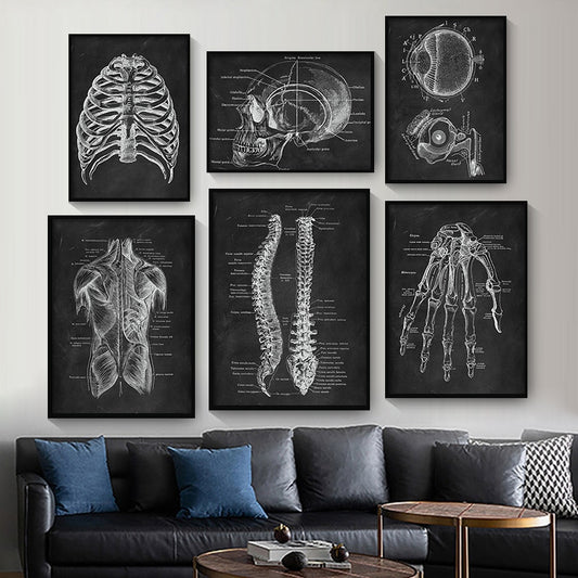 CORX Designs - Human Anatomy Black Canvas Art - Review