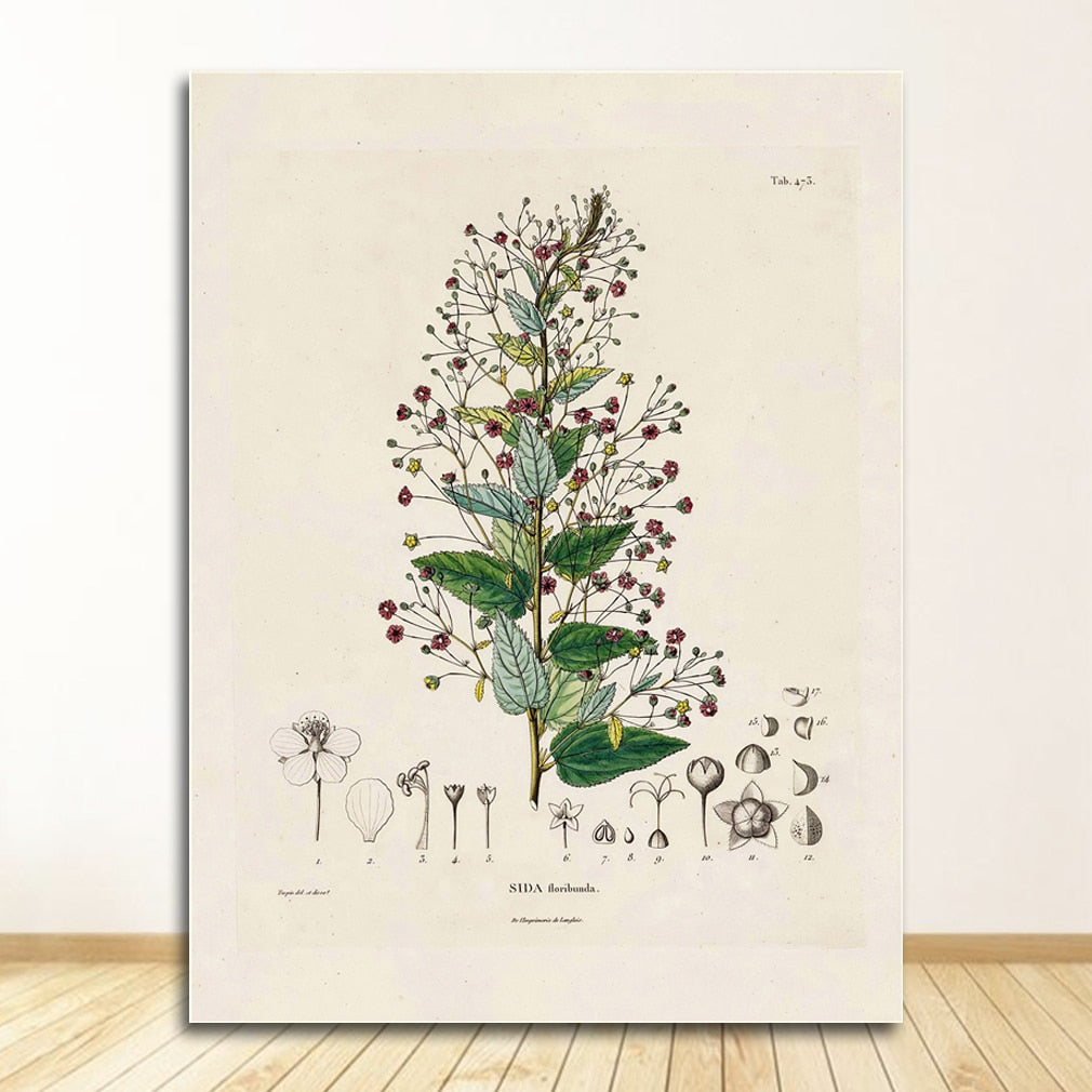 CORX Designs - Botanical Studies Wall Art Canvas - Review