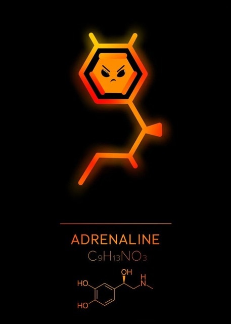 CORX Designs - Chemistry Element Molecule Canvas Art - Review