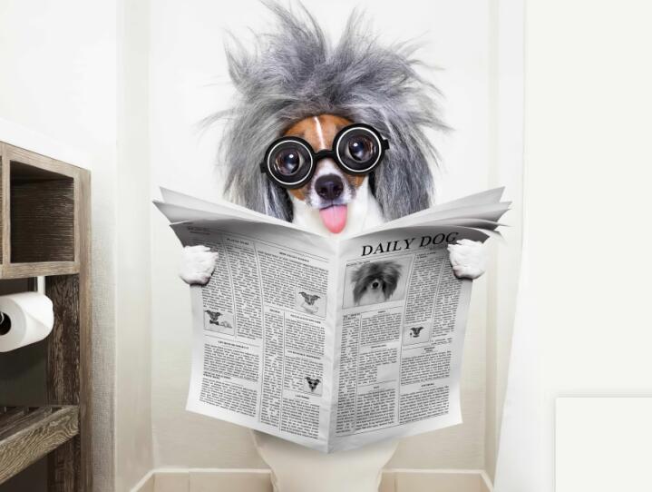 CORX Designs - Dog Reading Newspaper Canvas Art - Review