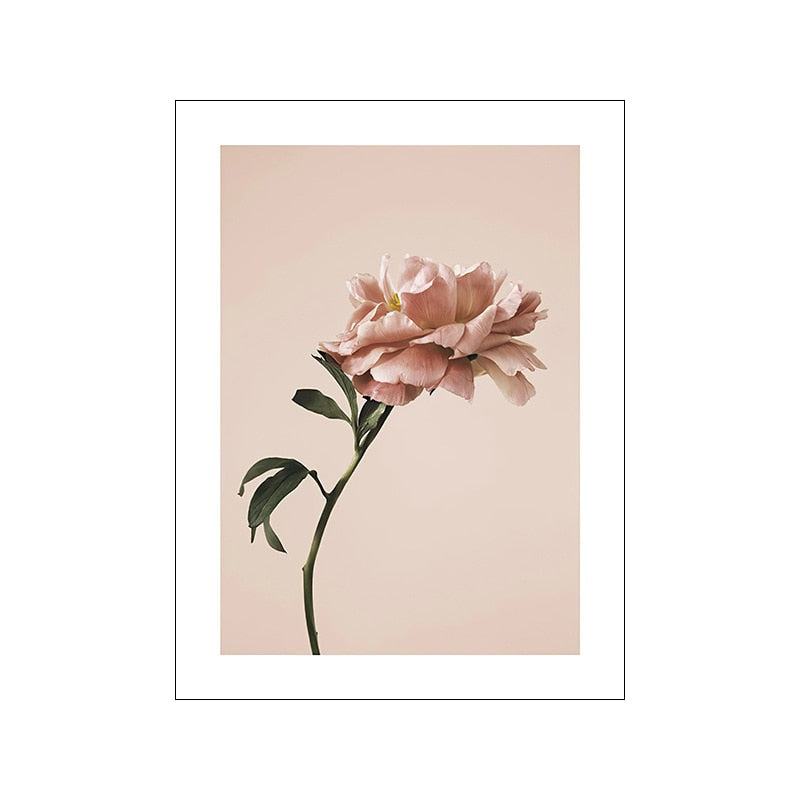 CORX Designs - Pink Peony Rose Flower Canvas Art - Review