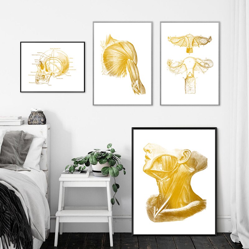 CORX Designs - Gold Human Anatomy Canvas Art - Review