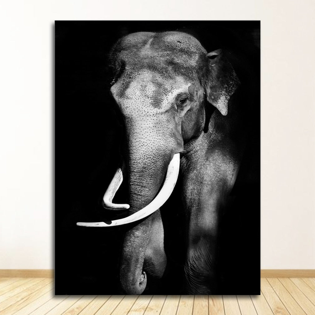 CORX Designs - Black and White Animal Wall Art Canvas - Review