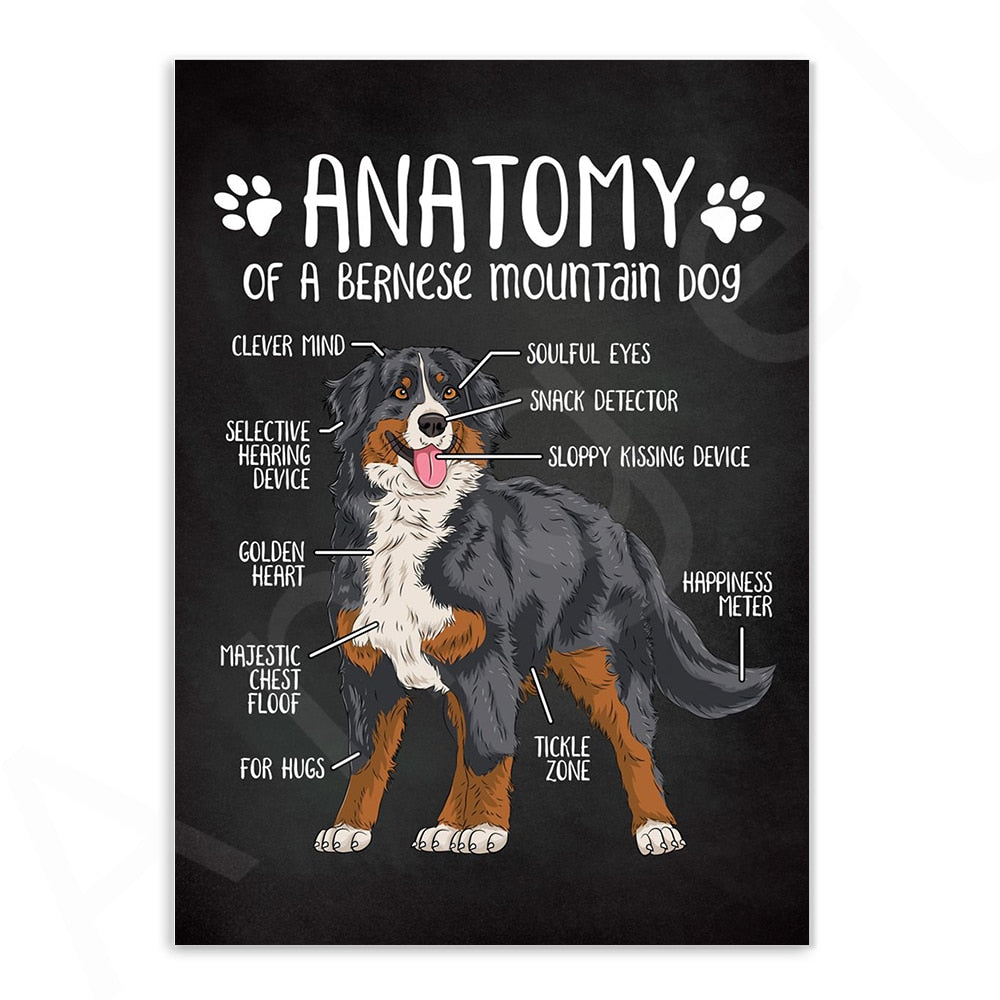 CORX Designs - Anatomy of Dogs Canvas Art - Review