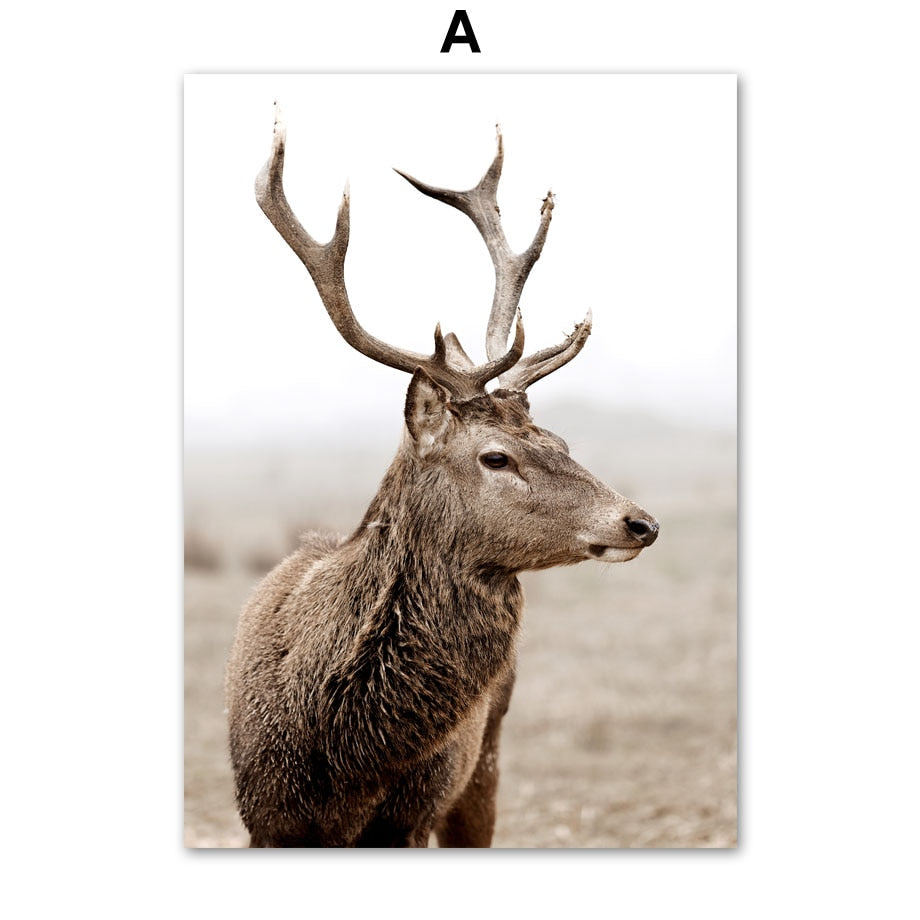 CORX Designs - African Savanna Animals Canvas Art - Review