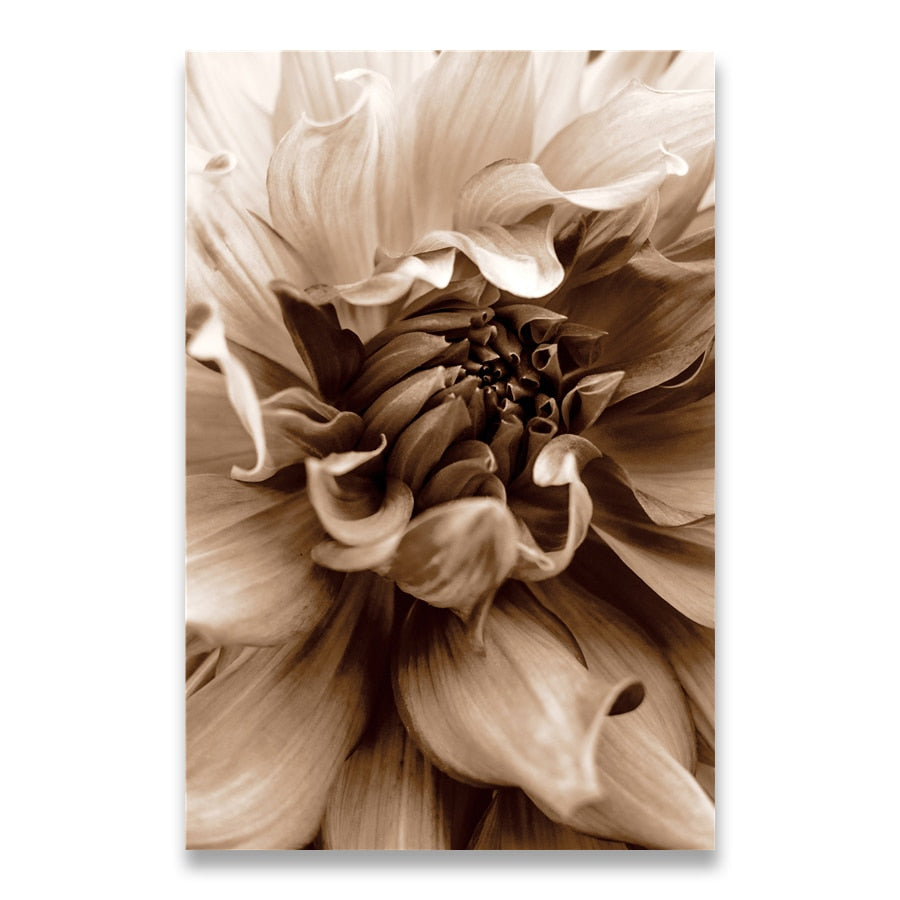 CORX Designs - Woman Dancing Flower Pampas Grass Canvas Art - Review