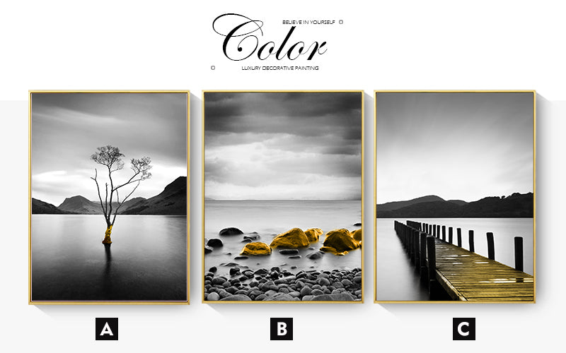 CORX Designs - White and Black Bridge Reef Rock Canvas Art - Review