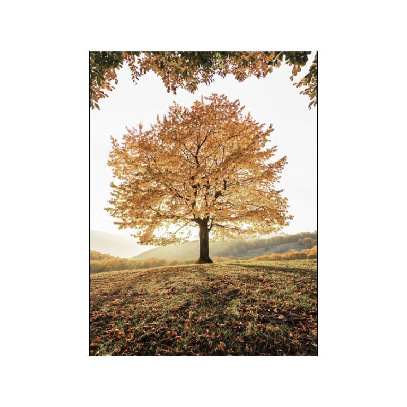 CORX Designs - Autumn Forest Wooden House Canvas Art - Review